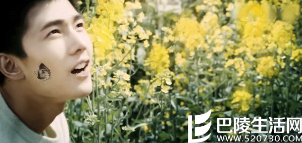 《饮食男女2012》 《饮食男女2012》