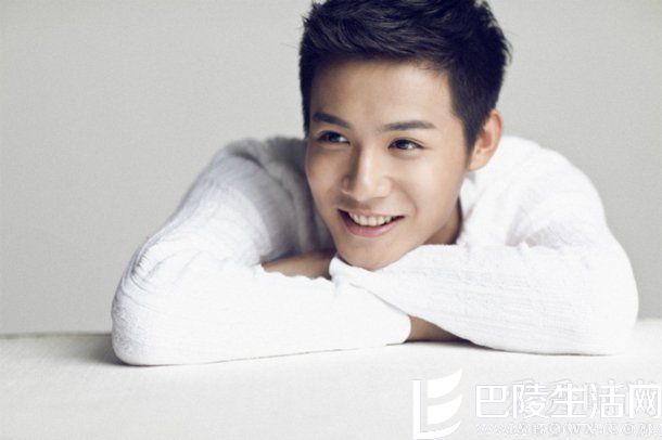 　郑业成的演艺经历