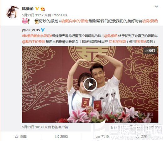 陈紫函当小三 陈紫函当小三