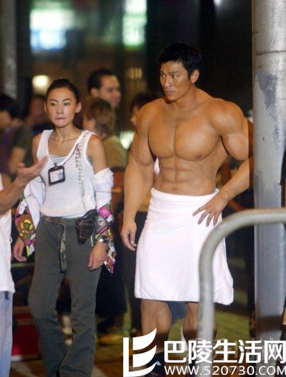 张柏芝 刘德华 张柏芝 刘德华