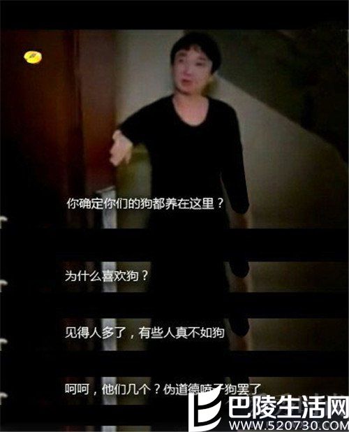 思聪找狗 思聪找狗