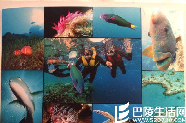 在海底潜水的照片