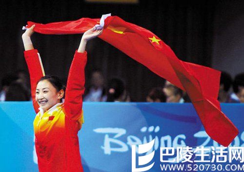 何雯娜个人成就