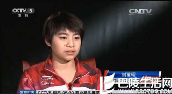 刘蕙瑕的社会评价