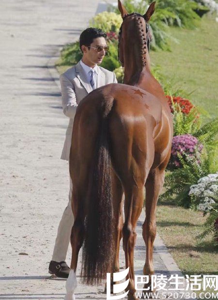 中国马术运动员华天 中国马术运动员华天