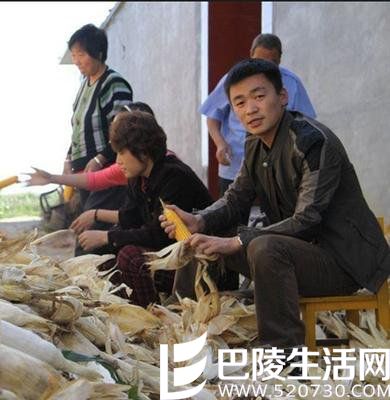 王宝强的成长经历 王宝强的成长经历