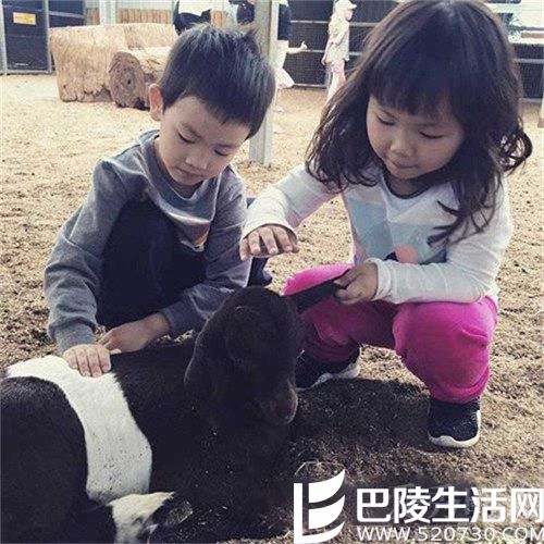 王宝强儿子和女儿 王宝强儿子和女儿