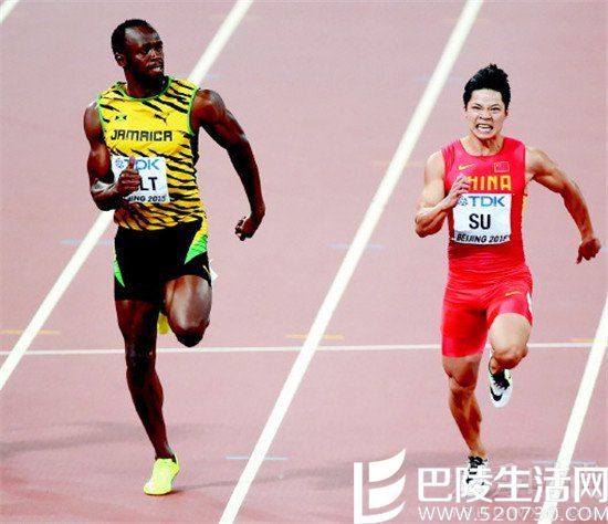 苏炳添高1米72 苏炳添高1米72