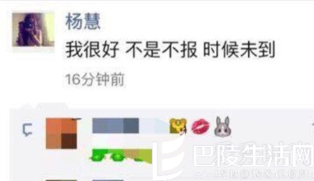 杨慧微博截图 杨慧微博截图