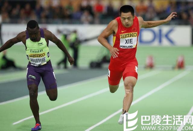 谢震业个人资料