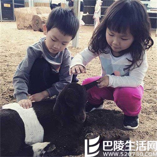 王宝强儿子女儿