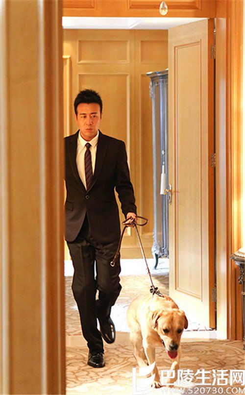 于和伟出道多年 于和伟出道多年