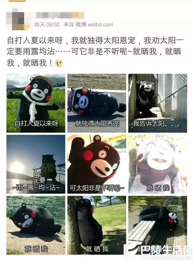 太阳的后羿版皮卡丘