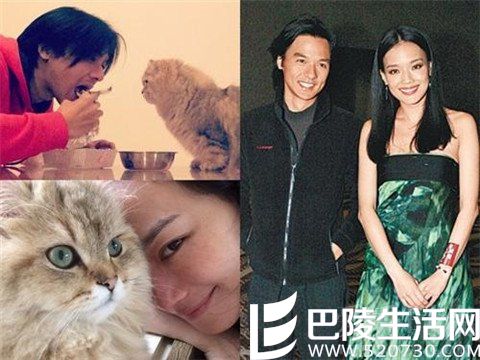 舒淇冯德伦晒猫 舒淇冯德伦晒猫
