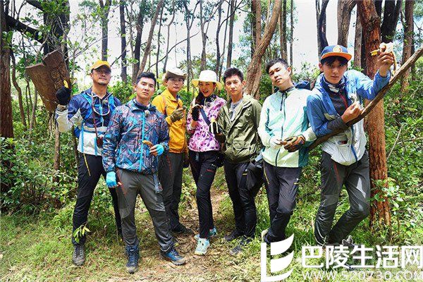 我的法则成员 我的法则成员