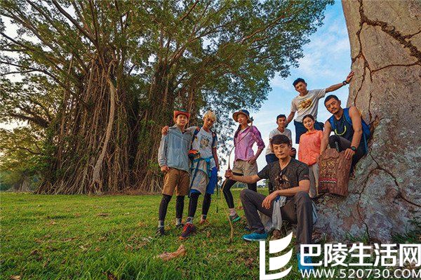 我的法则大家族