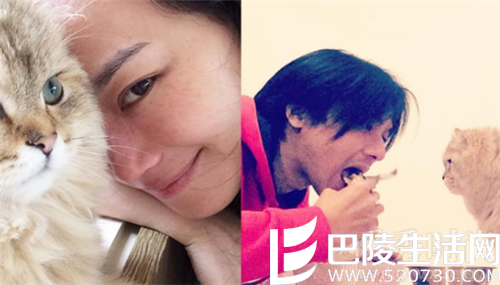 舒淇冯德伦隔空秀恩爱 舒淇冯德伦隔空秀恩爱