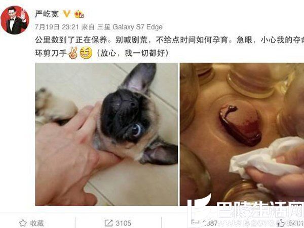 严屹宽后背拔罐血浆