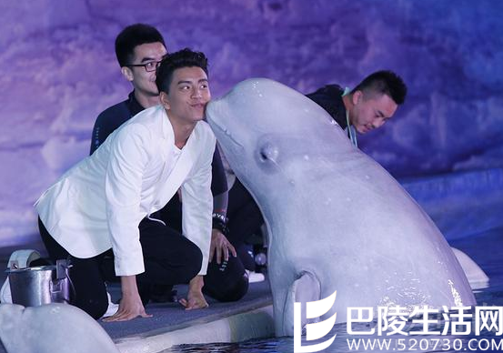 探访因八仙尘爆受伤的小朋友 探访因八仙尘爆受伤的小朋友