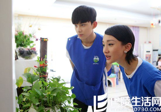 吴磊周迅 吴磊周迅