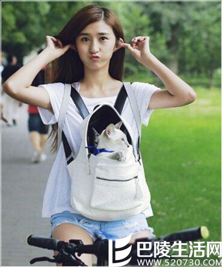 湖南大学校花贾博雅