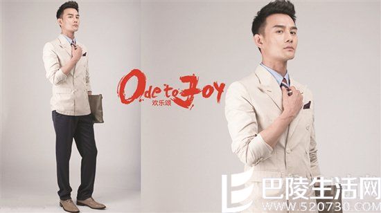 王凯演过的电视剧之《欢乐颂》 王凯演过的电视剧之《欢乐颂》