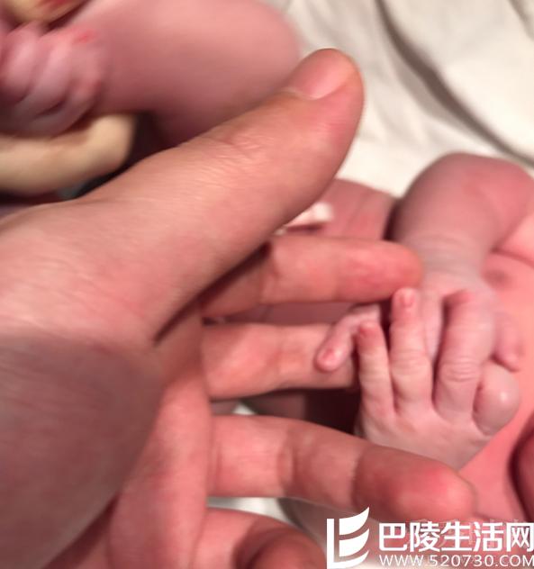 陈赫一家大手小手 陈赫一家大手小手