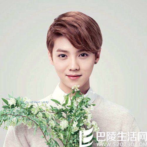 鹿晗帅照 鹿晗帅照