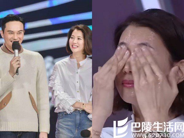 袁咏仪张智霖 袁咏仪张智霖