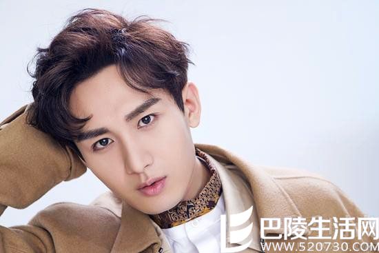 　成毅的演艺经历