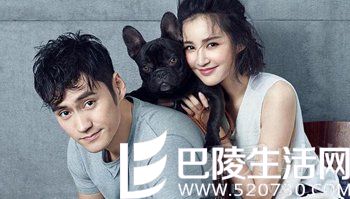 袁弘张歆艺 袁弘张歆艺