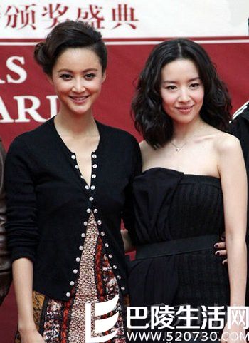 张歆艺董洁对比图 张歆艺董洁对比图