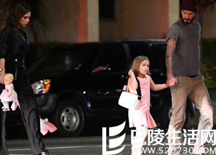 贝克汉姆女儿小七 贝克汉姆女儿小七