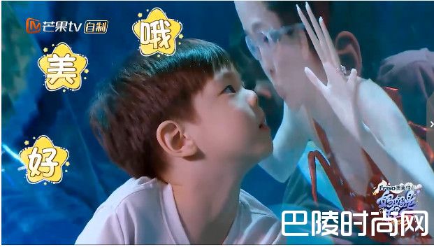 霍思燕亲吻儿子