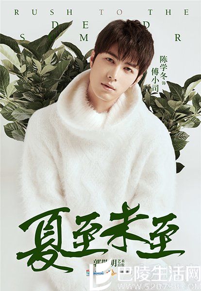 《夏至未至》傅小司海报