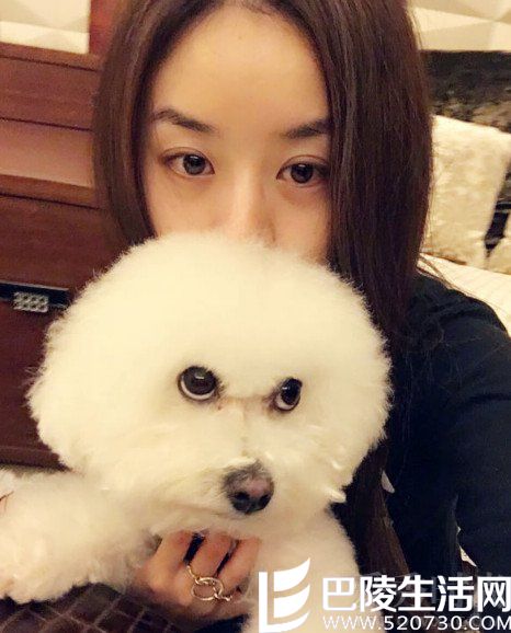 赵丽颖抱狗安慰粉丝