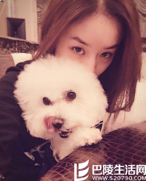 赵丽颖发微博安慰碧瑶党