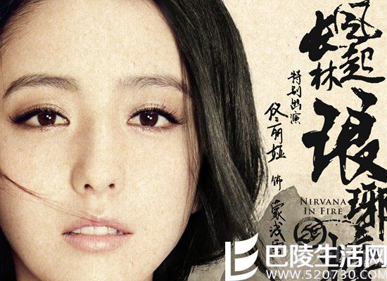 《琅琊榜之风起长林》剧情简介