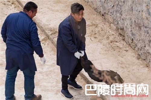 王宝强下乡扶贫抓猪烧饭 潘石屹亲自为其打下手