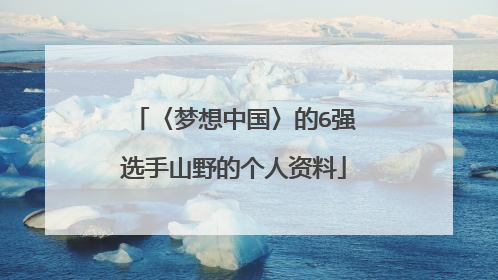 〈梦想中国〉的6强选手山野的个人资料