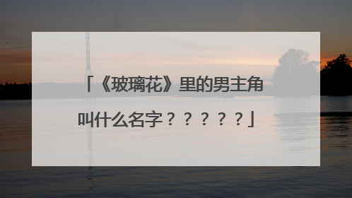 《玻璃花》里的男主角叫什么名字？？？？？