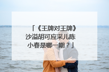 《王牌对王牌》沙溢胡可应采儿陈小春是哪一期?