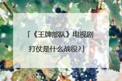 《王牌部队》电视剧打仗是什么战役?