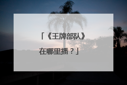 《王牌部队》在哪里播？
