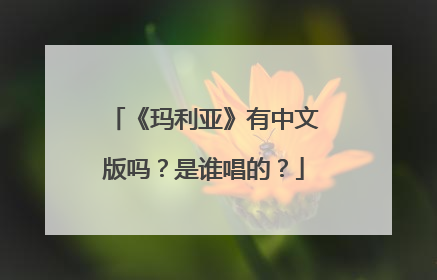 《玛利亚》有中文版吗?是谁唱的?