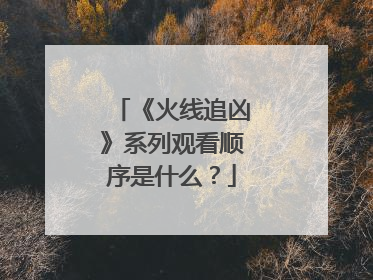 《火线追凶》系列观看顺序是什么？
