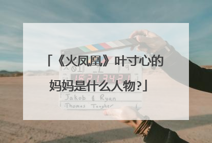 《火凤凰》叶寸心的妈妈是什么人物?