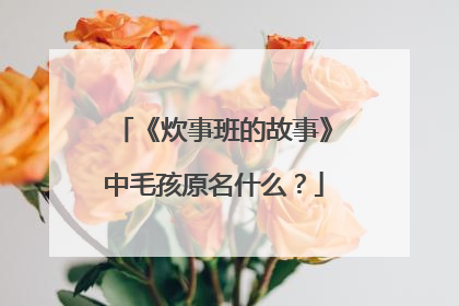 《炊事班的故事》中毛孩原名什么？
