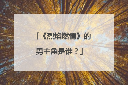 《烈焰燃情》的男主角是谁?