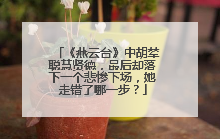 《燕云台》中胡辇聪慧贤德,最后却落下一个悲惨下场,她走错了哪一步?